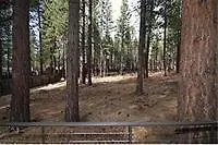 1519 Walkup Apartman South Lake Tahoe